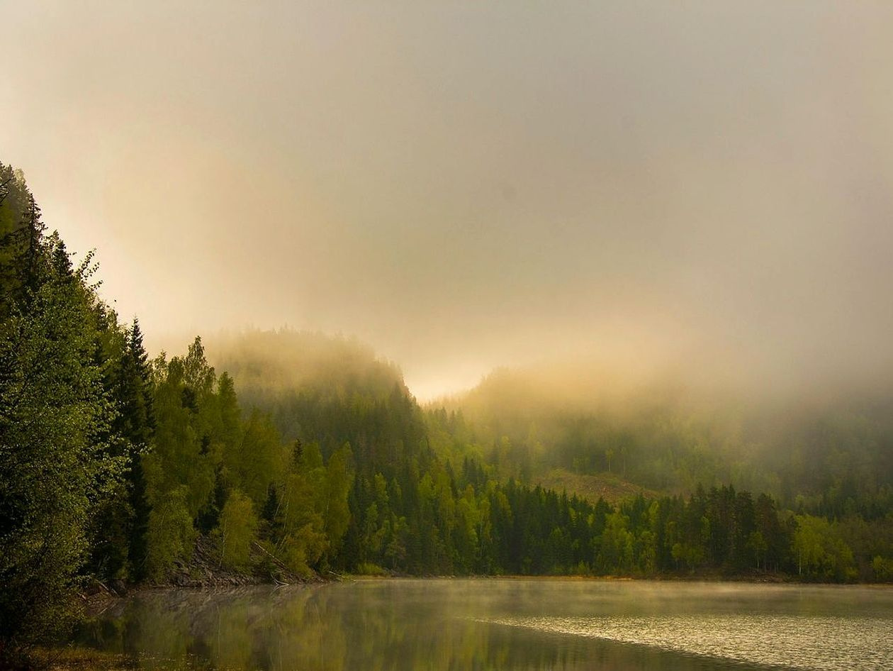 Morning mist rising from a mountain lake at first light
